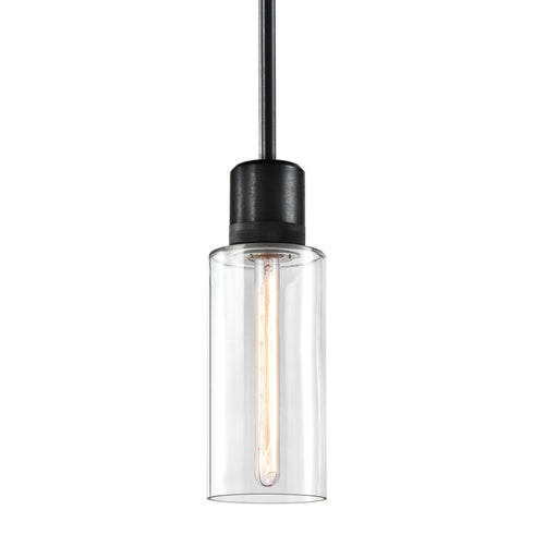ZEEV Lighting ZIGRINA 8 Inch E26 Clear Globe Glass Pendant Light and in Satin Brushed Black Metal Finish Model: P11708-E26-SBB-G11
