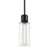 ZEEV Lighting ZIGRINA 8 Inch E26 Clear Globe Glass Pendant Light and in Satin Brushed Black Metal Finish Model: P11708-E26-SBB-G11