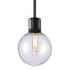 ZEEV Lighting ZIGRINA 8 Inch E26 Clear Globe Glass Pendant Light and in Satin Brushed Black Metal Finish Model: P11708-E26-SBB-G11