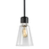 ZEEV Lighting ZIGRINA 8 Inch E26 Clear Globe Glass Pendant Light and in Satin Brushed Black with Nickel Metal Finish Model: P11708-E26-SBB-K-PN-G11