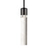 ZEEV Lighting ZIGRINA 8 Inch E26 Clear Globe Glass Pendant Light and in Satin Brushed Black with Nickel Metal Finish Model: P11708-E26-SBB-K-PN-G11