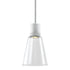 ZEEV Lighting ZIGRINA 8 Inch LED 3CCT Clear Globe Glass Pendant Light and in Matte White Metal Finish Model: P11702-LED-MW-G11