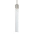 ZEEV Lighting ZIGRINA 8 Inch LED 3CCT Clear Globe Glass Pendant Light and in Polished Nickel Metal Finish Model: P11703-LED-PN-G11