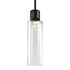 ZEEV Lighting ZIGRINA 8 Inch LED 3CCT Clear Globe Glass Pendant Light and in Satin Brushed Black Metal Finish Model: P11704-LED-SBB-G11