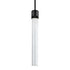ZEEV Lighting ZIGRINA 8 Inch LED 3CCT Clear Globe Glass Pendant Light and in Satin Brushed Black Metal Finish Model: P11704-LED-SBB-G11