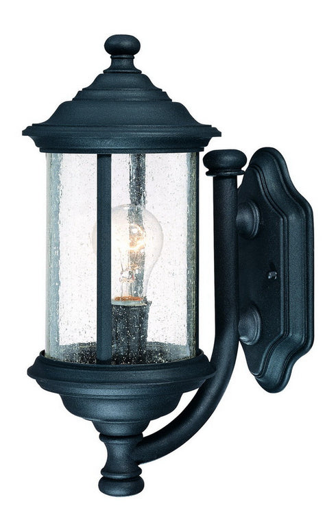 915-50 Dolan Designs Walnut Grove 1 Light Wall Black