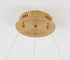 Bethel International 1 Light LED Chandelier Model: GL306C23G