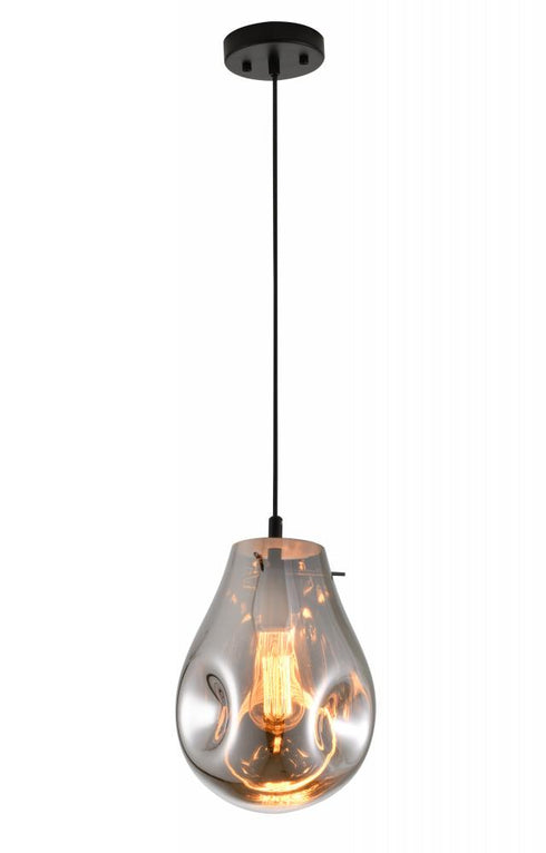 Bethel International 1 Light Pendant Model: DLS49P8SM