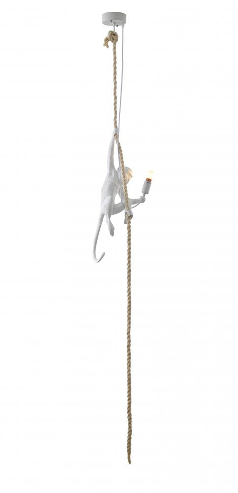 Bethel International 1 Light Pendant Model: DLS76P9W