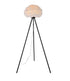 Bethel International Floor Lamp Model Number: DLS23F17BW