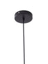 Bethel International Pendant Model Number: DLS49P8CL
