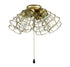 Craftmade 4 Light Fitter And Glass 4 Light With Cage Shade 4x4w LED Model: LK405101-FB-LED