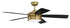 Craftmade Braxton Model: BRX52BCP5