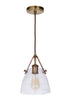 Craftmade Hagen 1 Light Pendant Model: 51391-PLN