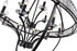CWI Lighting Arkansas 12 Light Chandelier With Black Finish Model: 9957P42-12-101