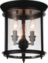 CWI Lighting Desire 3 Light Cage Flush Mount With Oil Rubbed Model: 9809C10-3-109