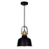 CWI Lighting Elisa 1 Light Down Pendant With Black Finish Model: 9845P9-101