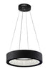 CWI Lighting LED Chandelier With Matte Black Finish Model: 1040P16-101