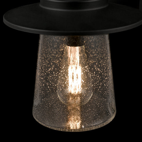 DVI Lighting 1 Light Outdoor Sconce In Black With Seedy Model: DVP44673BK-SDY