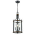 DVI Lighting Niagara 3 Light Foyer Model: DVP4410GR/IW