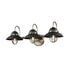 DVI Lighting Peggy's Cove 3 Light Vanity Model: DVP31043MW+VBR