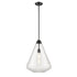 DVI Lighting St. Julian 14 Inch Pendant Model: DVP25805BR-CL