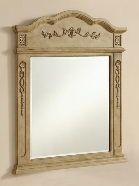 Elegant Decor Danville Mirror Model: VM-1001