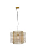 Living District Deleon 1 Light Pendant Model: LD2344BK