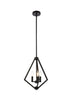 Living District Irina 3 Light Pendant Model: LD7061D14BK