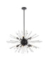 Elegant Lighting Sienna 10 Light Pendant Model: 2502D32BK