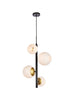 Living District Wells 4 Light Pendant Model: LD655D18BRK