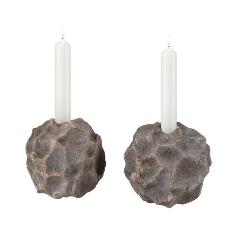 Elk Beachcomber Decorative Object In Natural Model: 2181-116/S2