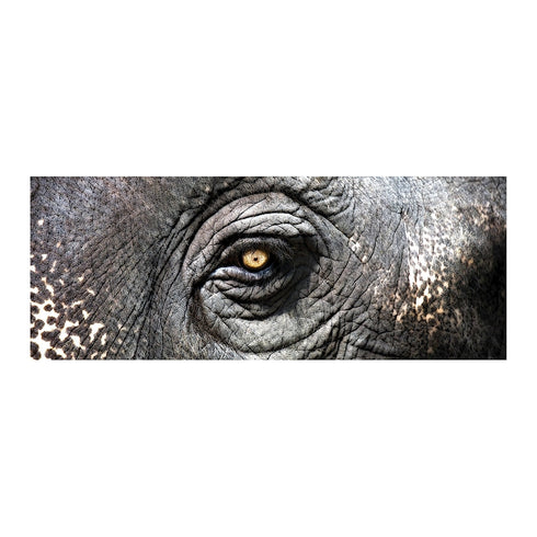Elk Elephant Study (exclusive Gianni Rusconi Model: 146-025