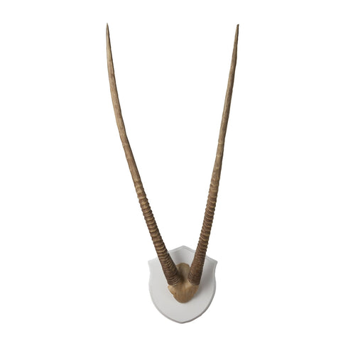 Elk Gazelle Horns Ecru Wood Plaque Model: 225026