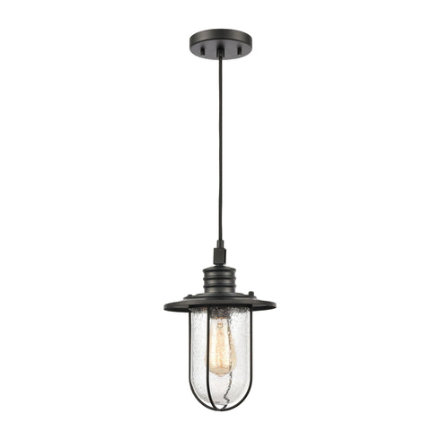 Elk Lakeshore Drive 1 Light Mini Pendant In Matte Model: 46403/1