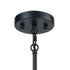 Elk livington Livingston 5 Light Chandelier In Matte Black Model: 15276/5