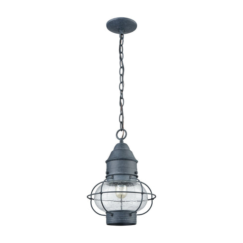 Elk Onion 1 Light Outdoor Pendant In Aged Zinc Model: 57173/1