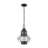 Elk Onion 1 Light Outdoor Pendant In Oil Rubbed Model: 57183/1