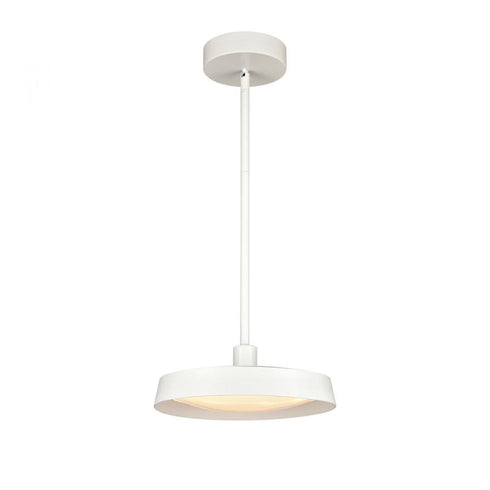 Elk Pendant Model: 85066/LED