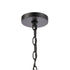 Elk Radnor 1 Light Hanging In Matte Black With Model: 46693/1
