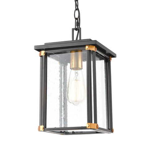 Elk Vincentown 1 Light Hanging In Matte Black Model: 46723/1