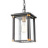Elk Vincentown 1 Light Hanging In Matte Black Model: 46723/1