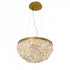 Eurofase Mondo 5 Light Chandelier Gold Model: 31829-014