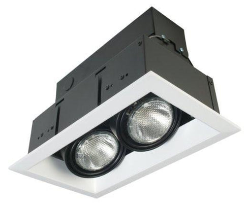 Eurofase TE132-0N 2 Light Multiple Par30 Platinum/Black