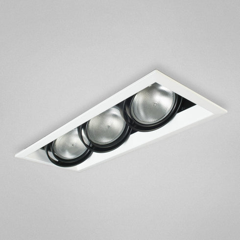 Eurofase TE133-02 3 Light Multiple Par30 White/Black