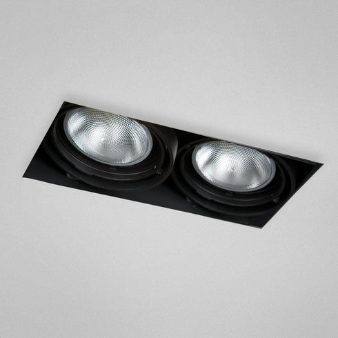 Eurofase TE222-01 2 Light Trimless Multi Par30 Black