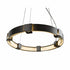 Hubbardton Forge Aura Pendant Model: 138585-SKT-STND-25-ZM0399