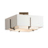 Hubbardton Forge Exos Square Small Double Shade Semi Flush Model: 126507-SKT-03-SA1205-SJ1605