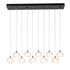 Hubbardton Forge Ume 10 Light Rectangular Pendant Model: 131203-SKT-STND-05-ZM0709