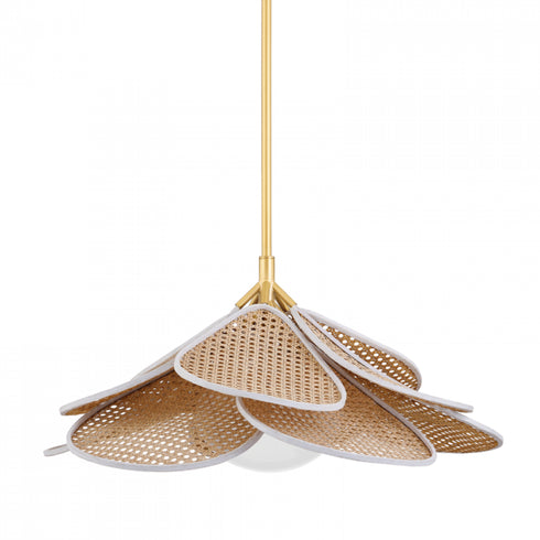 Hudson Valley 1 Light Pendant Model: 3128-AGB